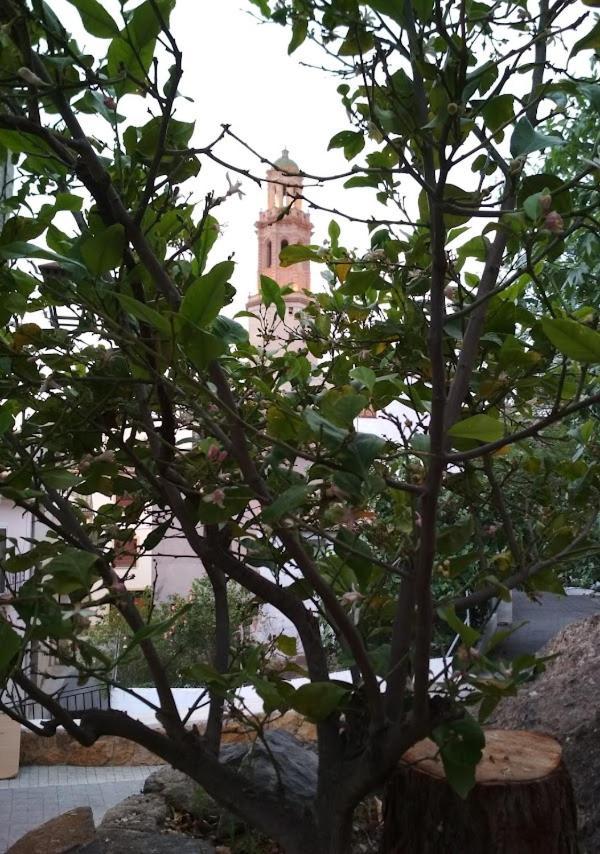Casa Rural Teresa La Cuca Villa Jerica Ngoại thất bức ảnh